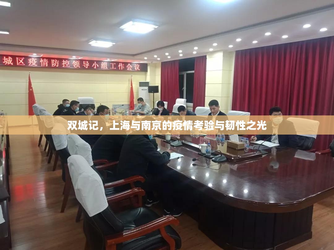 双城记，上海与南京的疫情考验与韧性之光