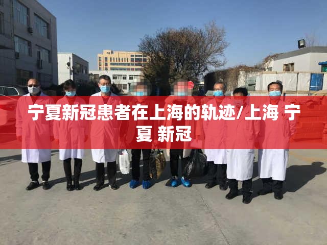宁夏新冠患者在上海的轨迹/上海 宁夏 新冠