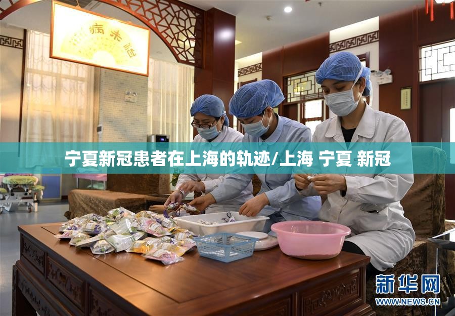 宁夏新冠患者在上海的轨迹/上海 宁夏 新冠