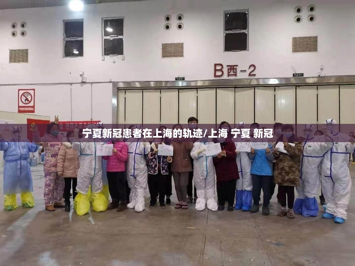 宁夏新冠患者在上海的轨迹/上海 宁夏 新冠