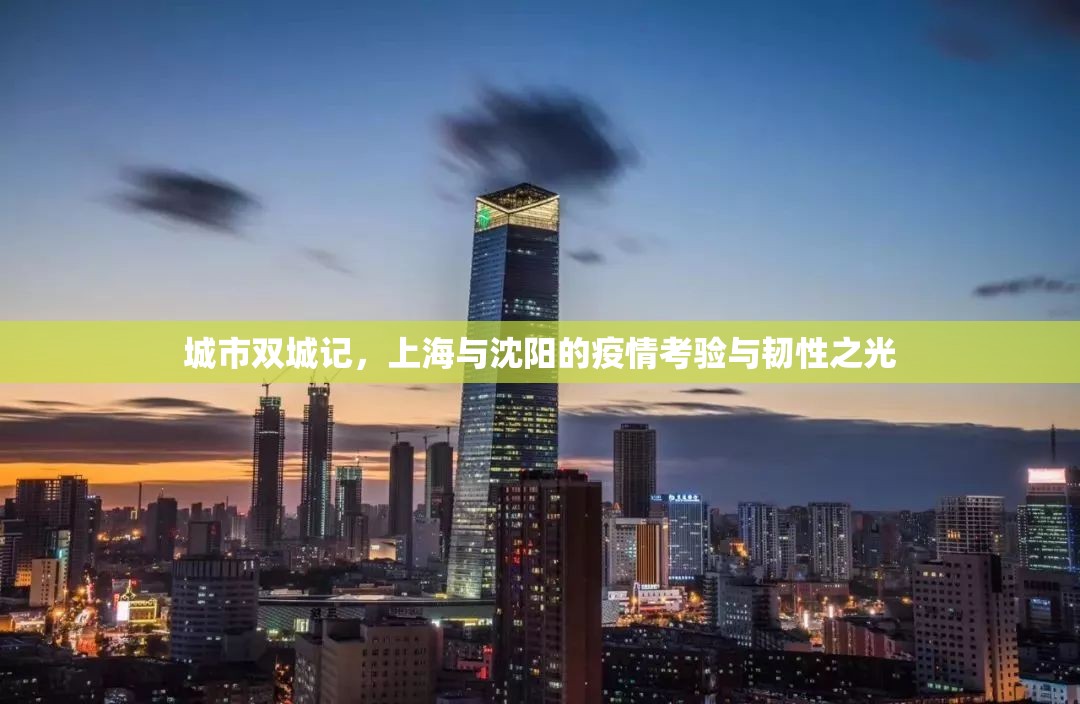 城市双城记，上海与沈阳的疫情考验与韧性之光