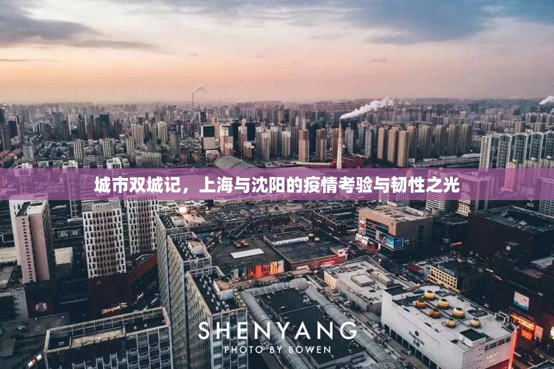城市双城记，上海与沈阳的疫情考验与韧性之光