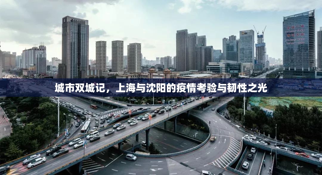 城市双城记，上海与沈阳的疫情考验与韧性之光