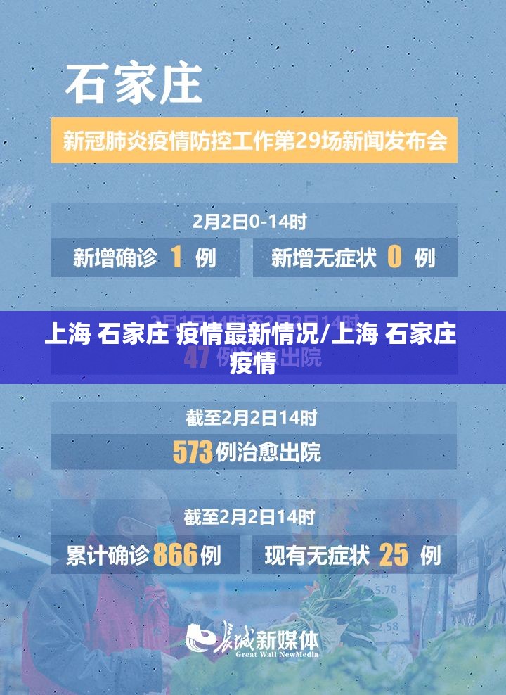 上海 石家庄 疫情最新情况/上海 石家庄 疫情