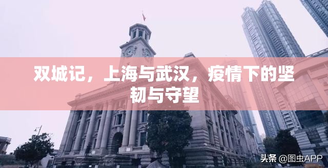 双城记，上海与武汉，疫情下的坚韧与守望