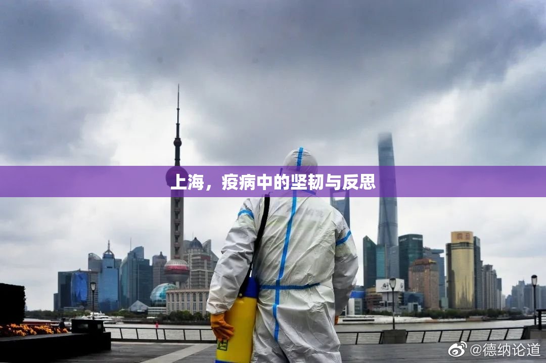 上海，疫病中的坚韧与反思