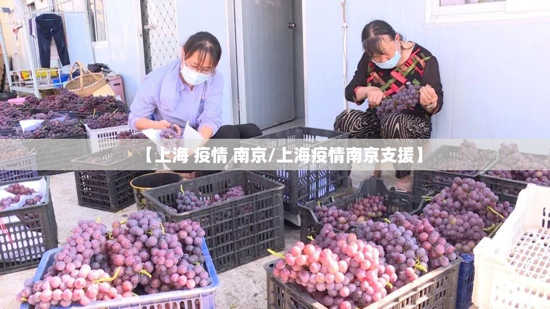 【上海 疫情 南京/上海疫情南京支援】