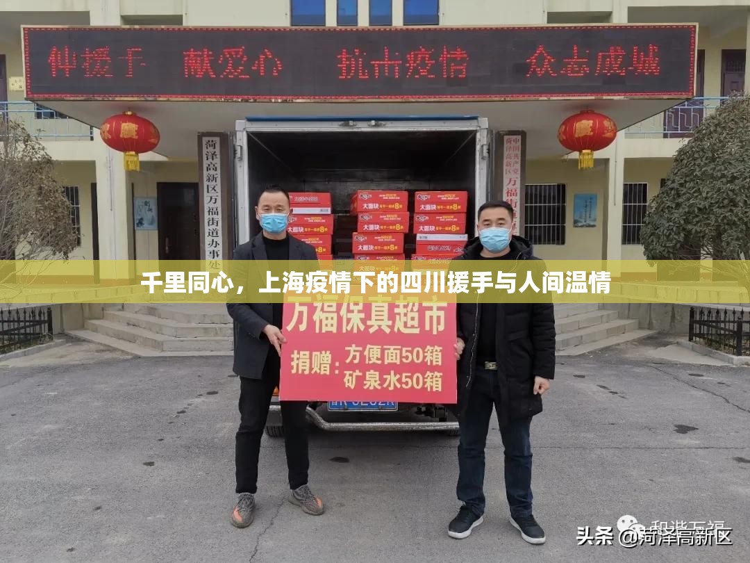 千里同心，上海疫情下的四川援手与人间温情