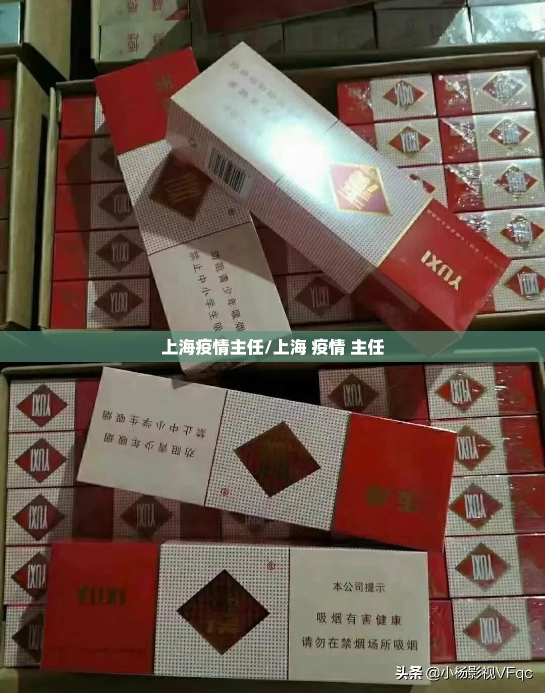上海疫情主任/上海 疫情 主任