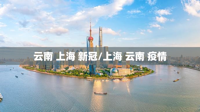 云南 上海 新冠/上海 云南 疫情