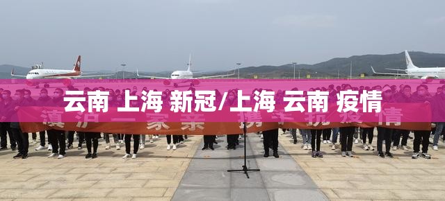 云南 上海 新冠/上海 云南 疫情