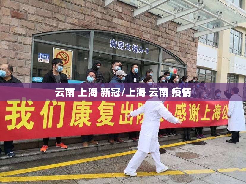 云南 上海 新冠/上海 云南 疫情