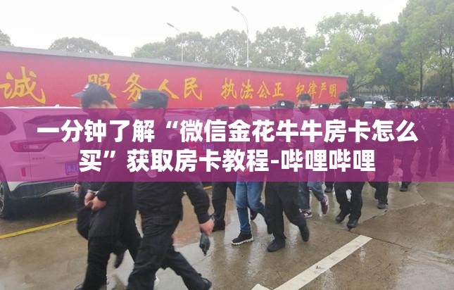 一分钟了解“微信金花牛牛房卡怎么买”获取房卡教程-哔哩哔哩