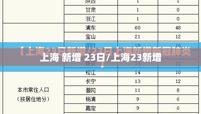 上海 新增 23日/上海23新增