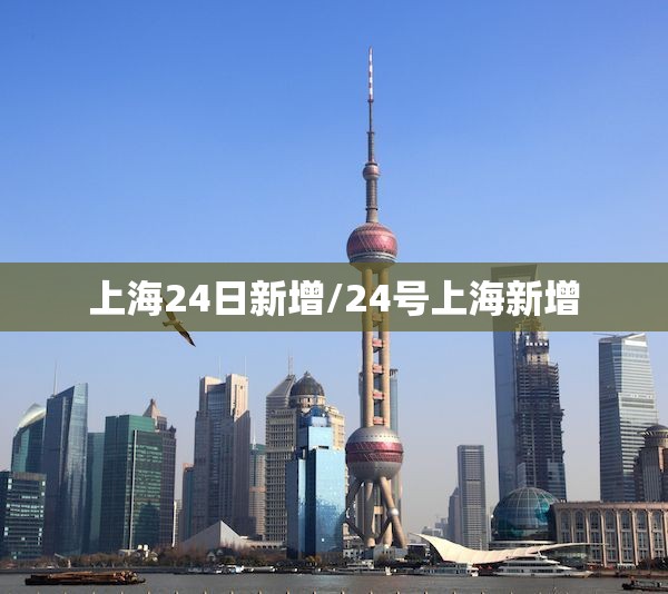 上海24日新增/24号上海新增