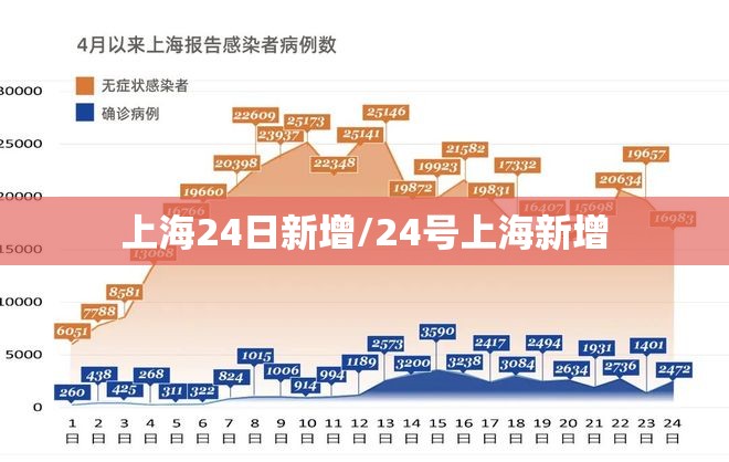上海24日新增/24号上海新增