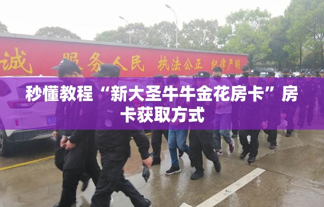 秒懂教程“新大圣牛牛金花房卡”房卡获取方式