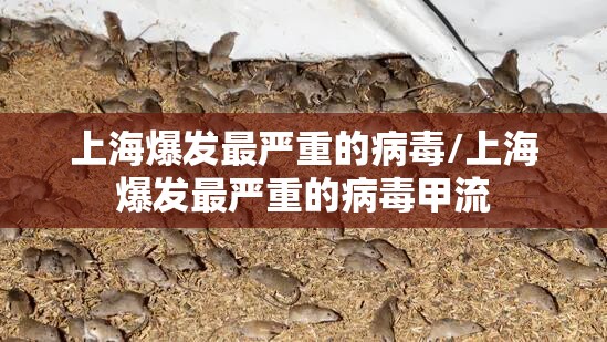 上海爆发最严重的病毒/上海爆发最严重的病毒甲流