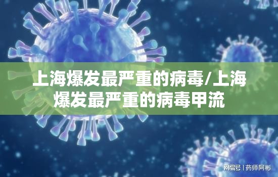 上海爆发最严重的病毒/上海爆发最严重的病毒甲流