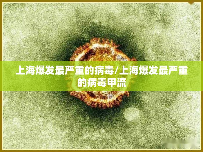 上海爆发最严重的病毒/上海爆发最严重的病毒甲流