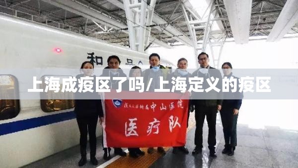 上海成疫区了吗/上海定义的疫区