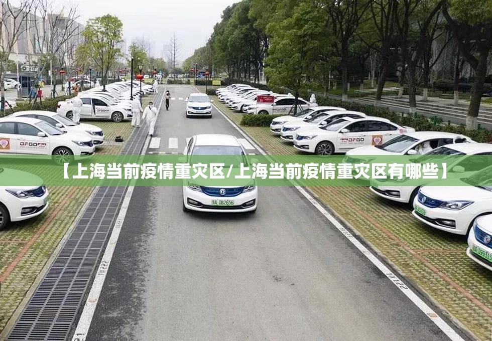 【上海当前疫情重灾区/上海当前疫情重灾区有哪些】