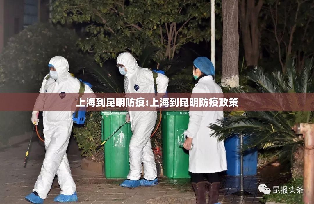 上海到昆明防疫:上海到昆明防疫政策