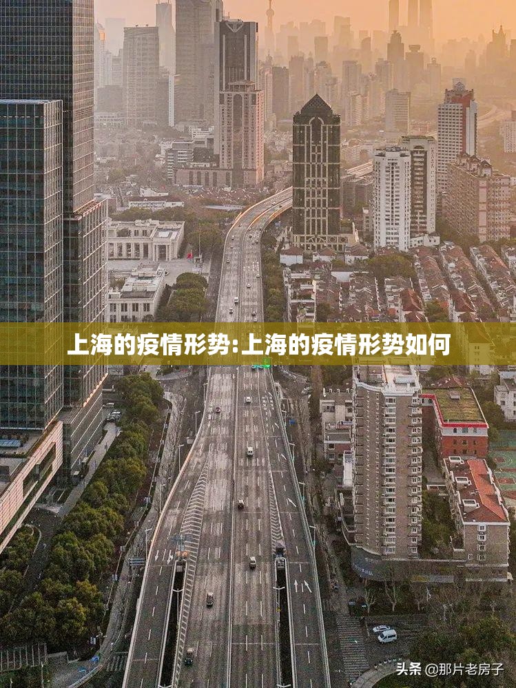 上海的疫情形势:上海的疫情形势如何