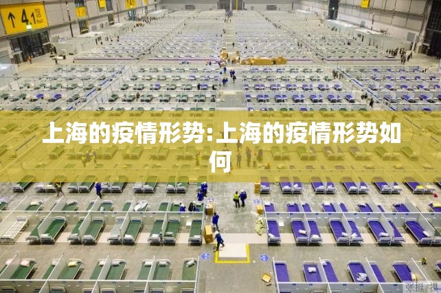 上海的疫情形势:上海的疫情形势如何