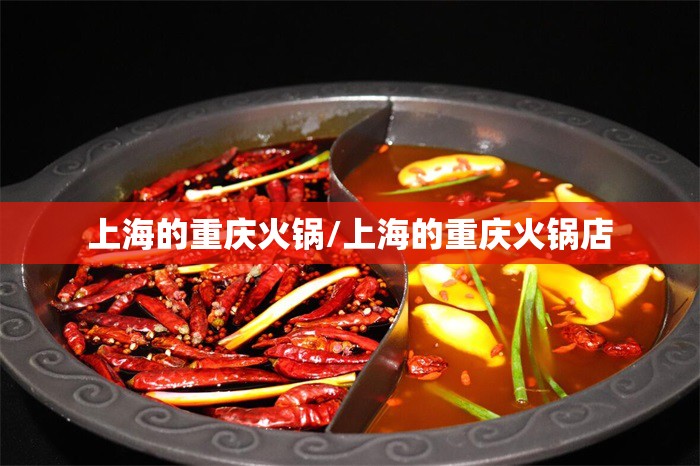 上海的重庆火锅/上海的重庆火锅店