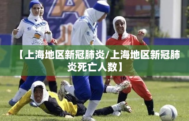 【上海地区新冠肺炎/上海地区新冠肺炎死亡人数】