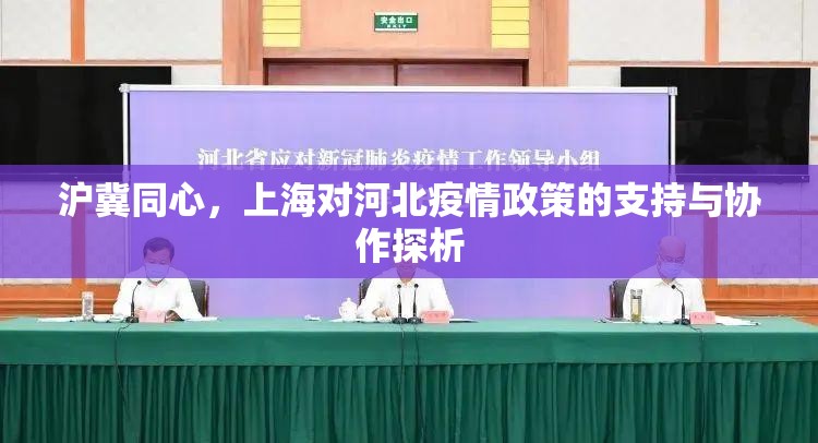 沪冀同心，上海对河北疫情政策的支持与协作探析