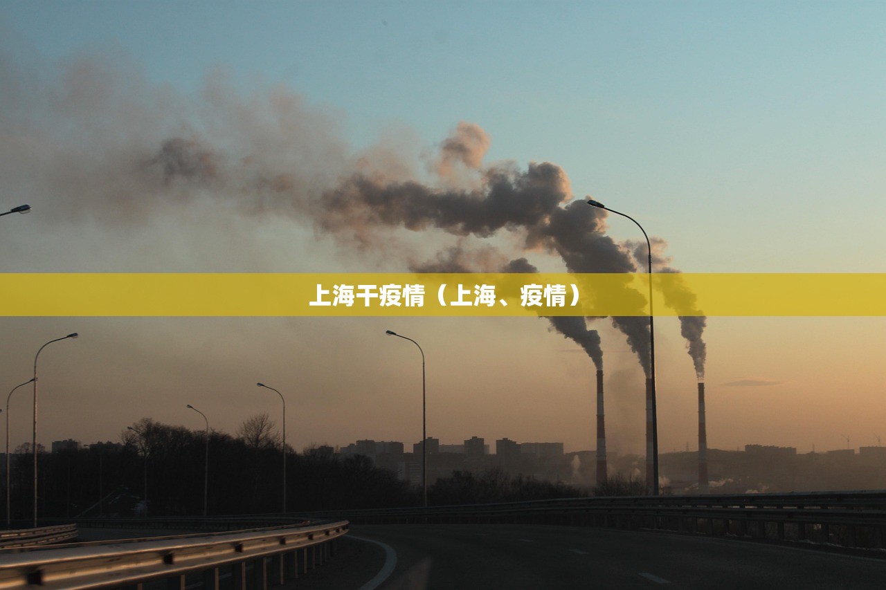 上海干疫情（上海、疫情）
