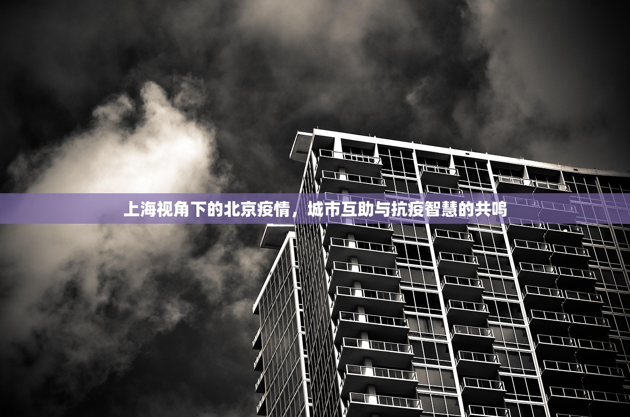 上海视角下的北京疫情，城市互助与抗疫智慧的共鸣