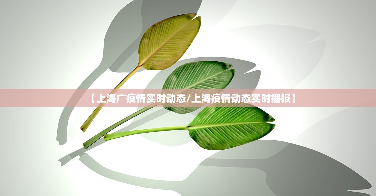 【上海广疫情实时动态/上海疫情动态实时播报】