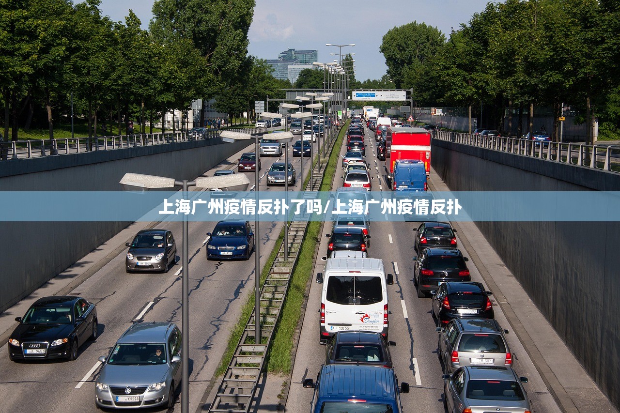 上海广州疫情反扑了吗/上海广州疫情反扑