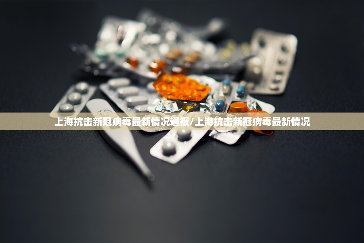 上海抗击新冠病毒最新情况通报/上海抗击新冠病毒最新情况