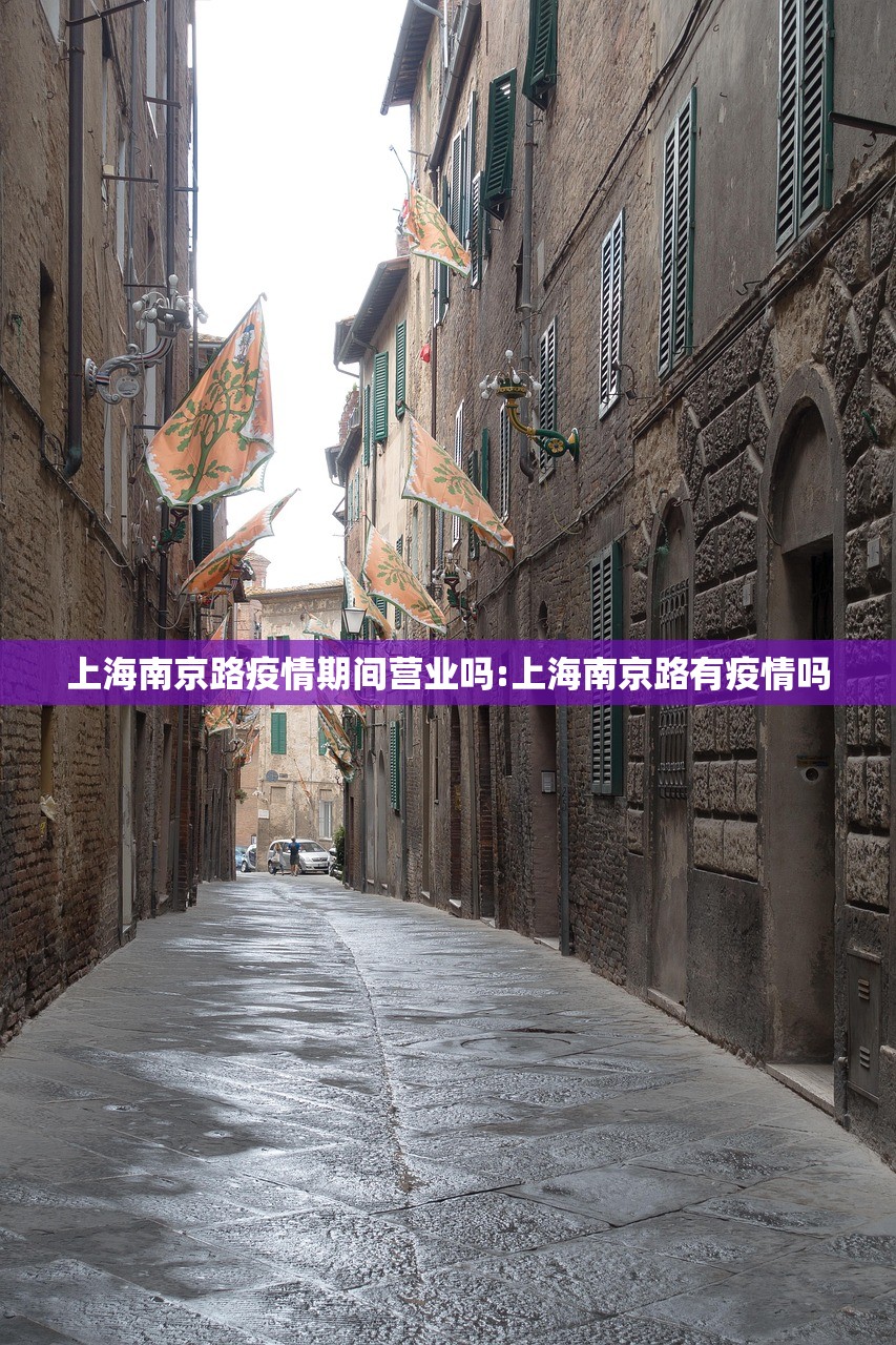 上海南京路疫情期间营业吗:上海南京路有疫情吗