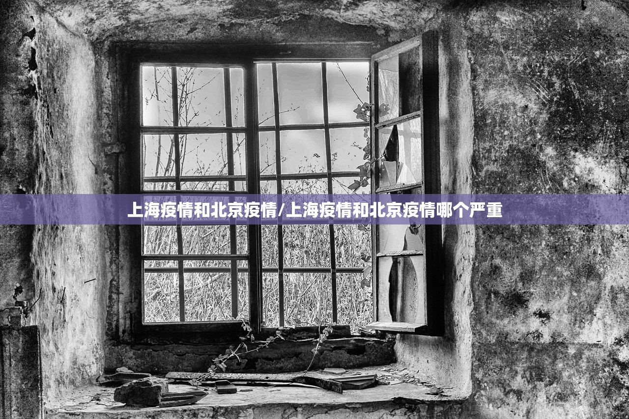 上海疫情和北京疫情/上海疫情和北京疫情哪个严重
