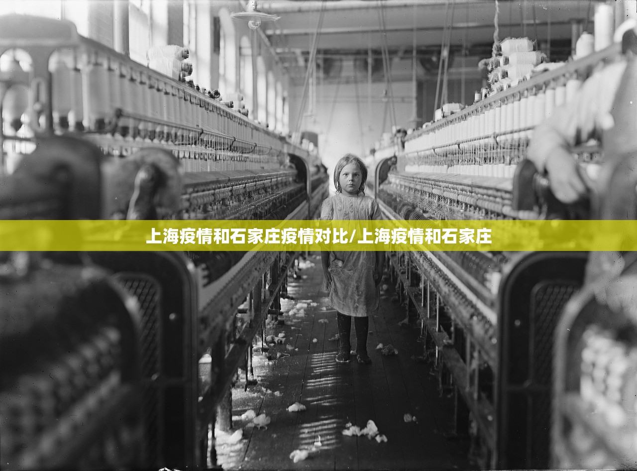 上海疫情和石家庄疫情对比/上海疫情和石家庄