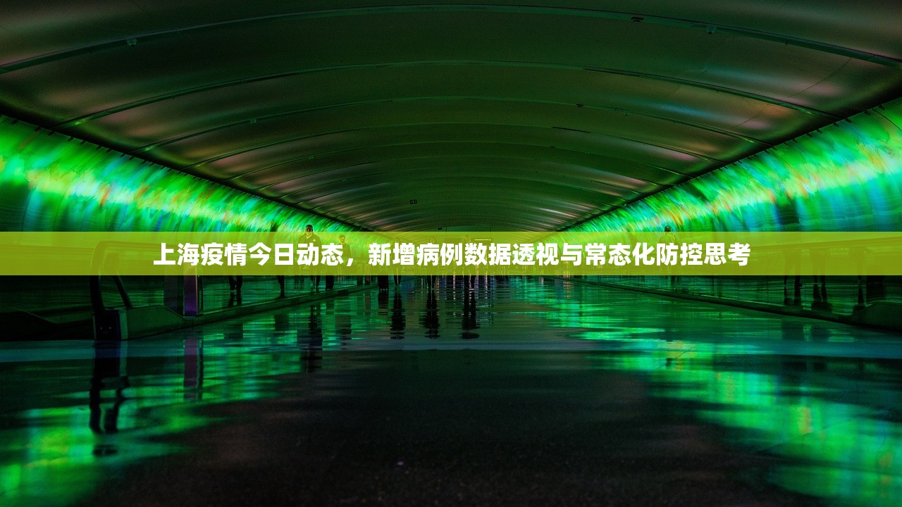 上海疫情今日动态，新增病例数据透视与常态化防控思考
