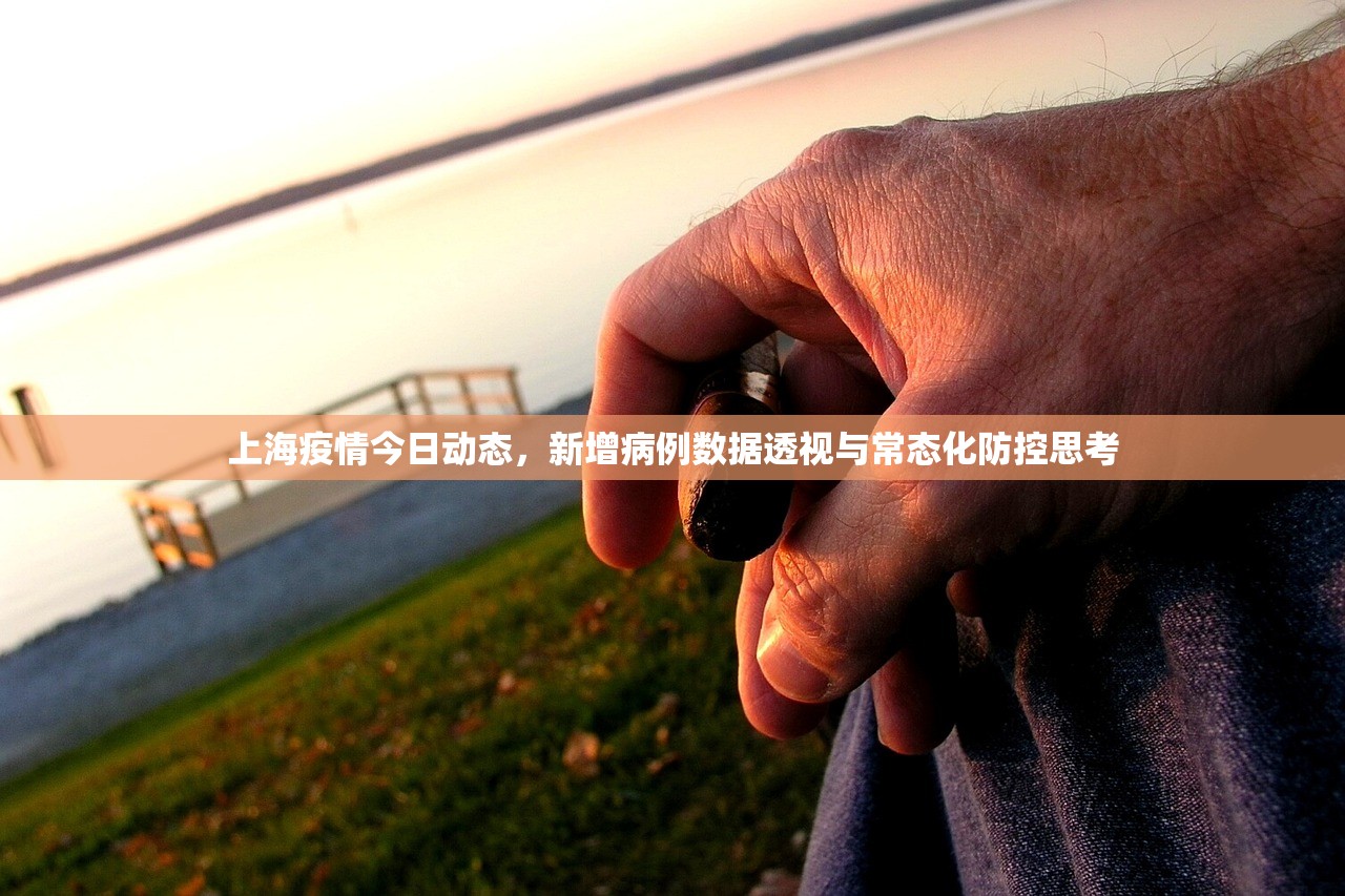 上海疫情今日动态，新增病例数据透视与常态化防控思考