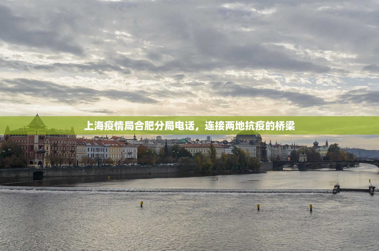 上海疫情局合肥分局电话，连接两地抗疫的桥梁