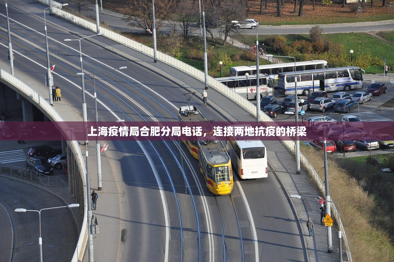 上海疫情局合肥分局电话，连接两地抗疫的桥梁