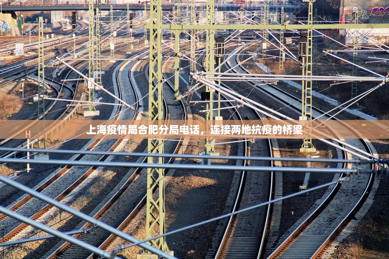 上海疫情局合肥分局电话，连接两地抗疫的桥梁