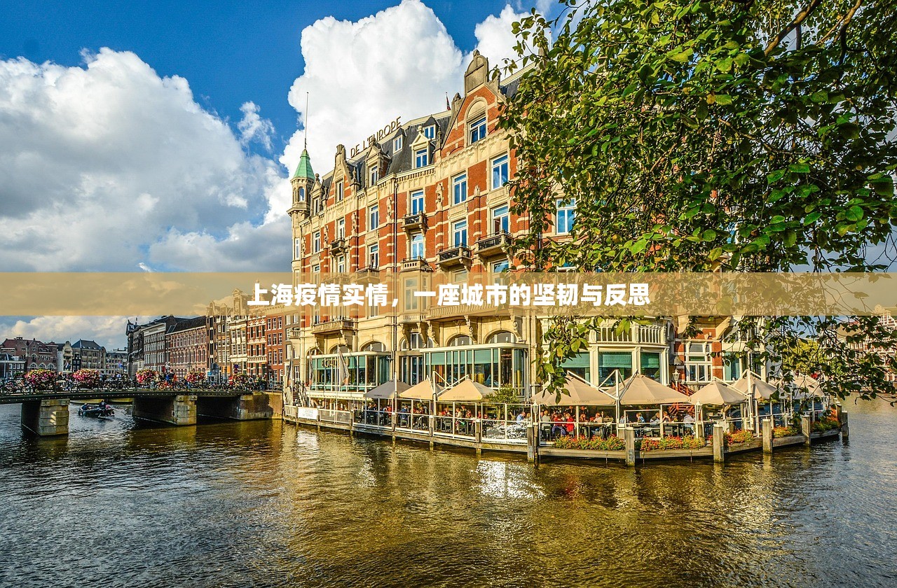 上海疫情实情，一座城市的坚韧与反思