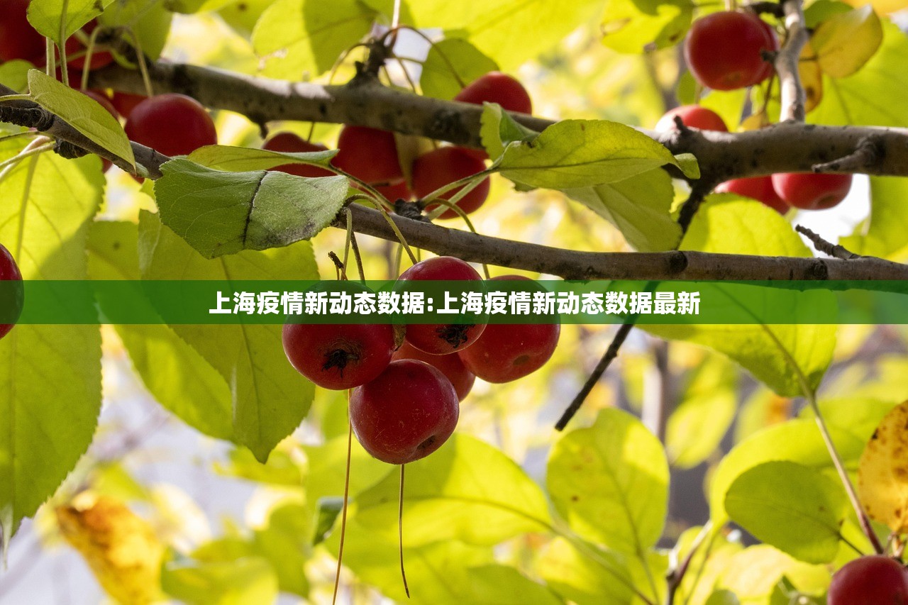 上海疫情新动态数据:上海疫情新动态数据最新