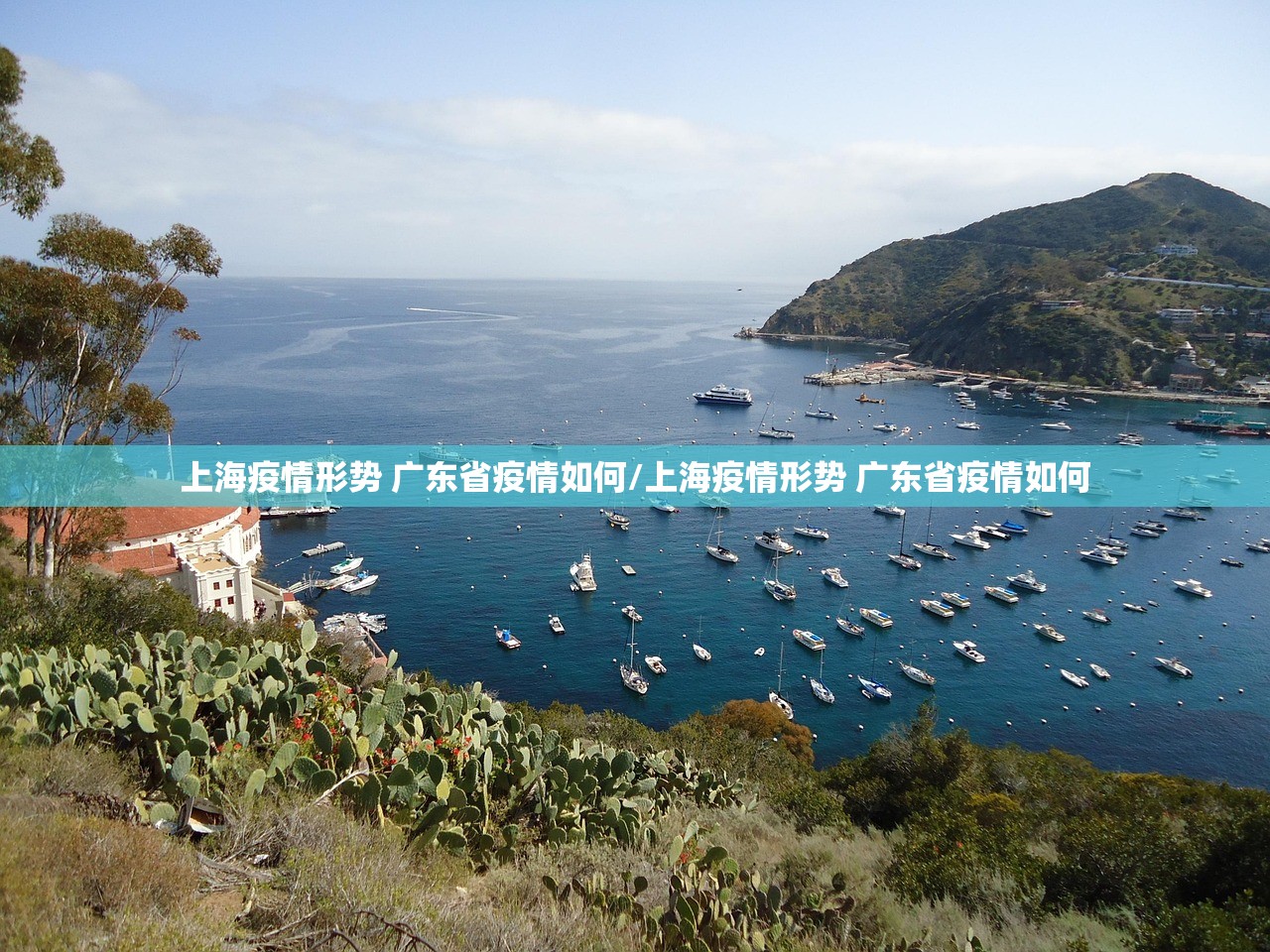 上海疫情形势 广东省疫情如何/上海疫情形势 广东省疫情如何