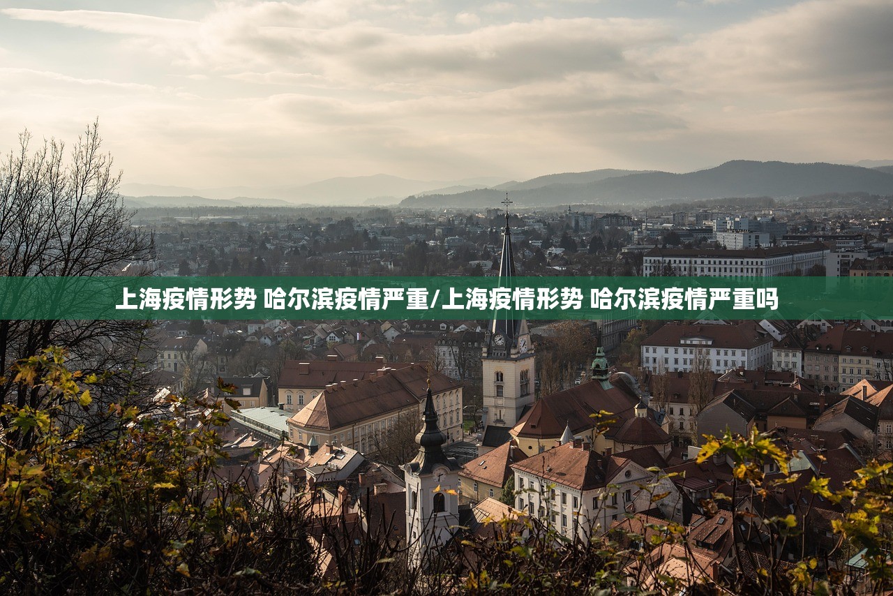 上海疫情形势 哈尔滨疫情严重/上海疫情形势 哈尔滨疫情严重吗