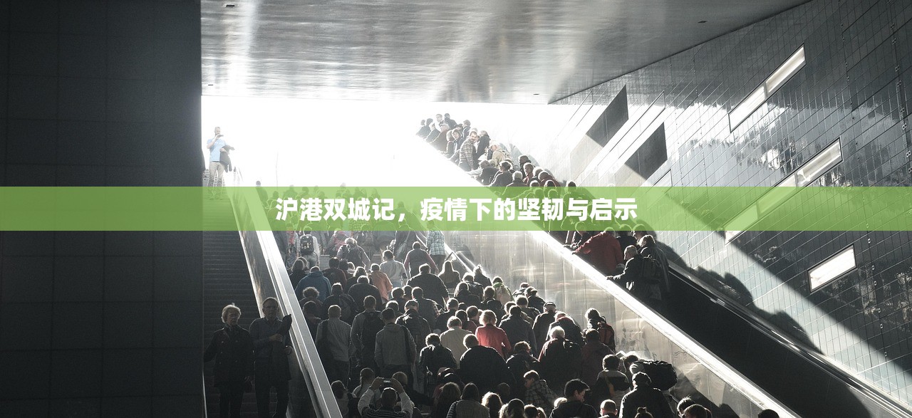 沪港双城记，疫情下的坚韧与启示